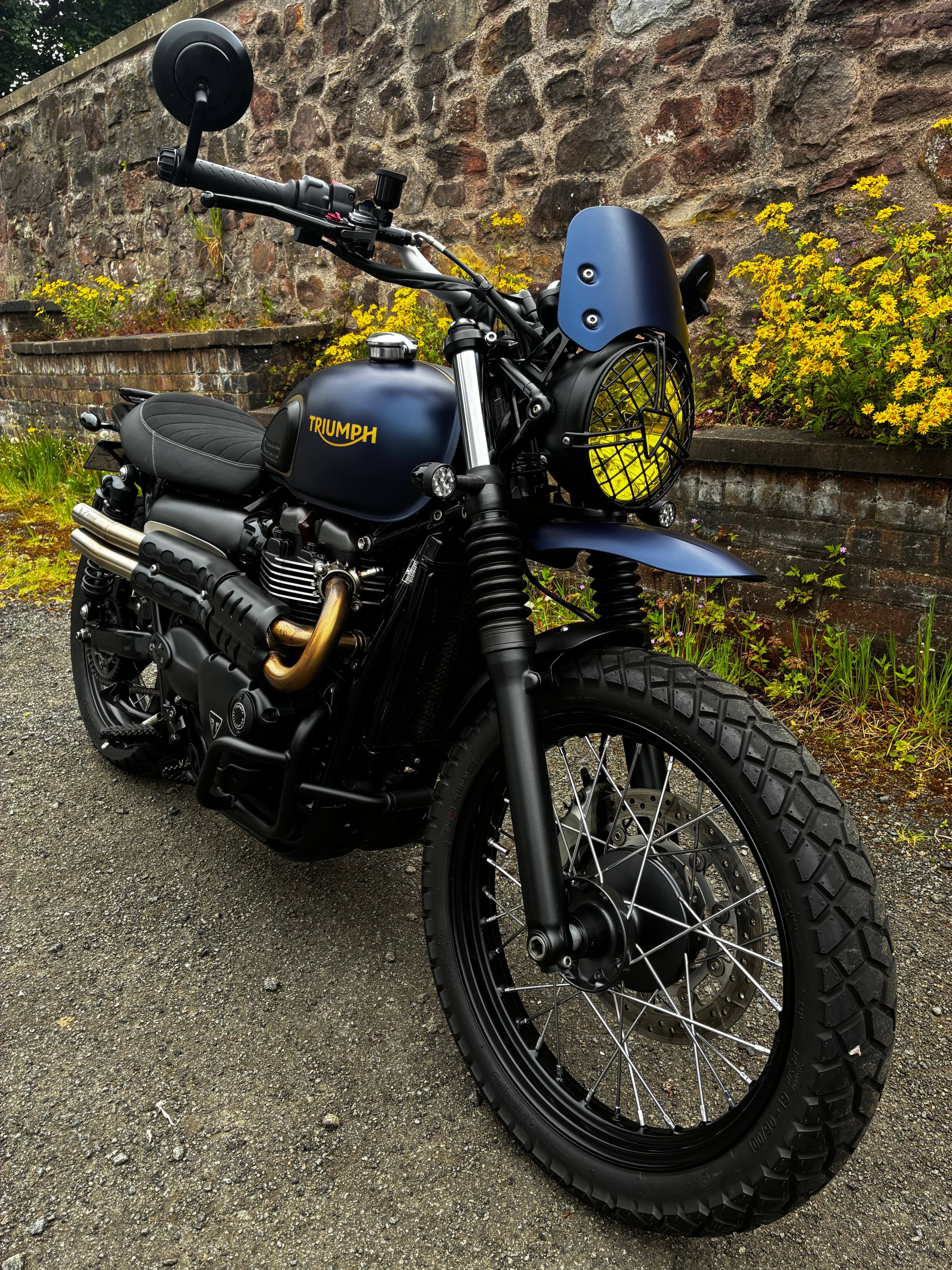 Triumph Bonneville - Gold Line Edition