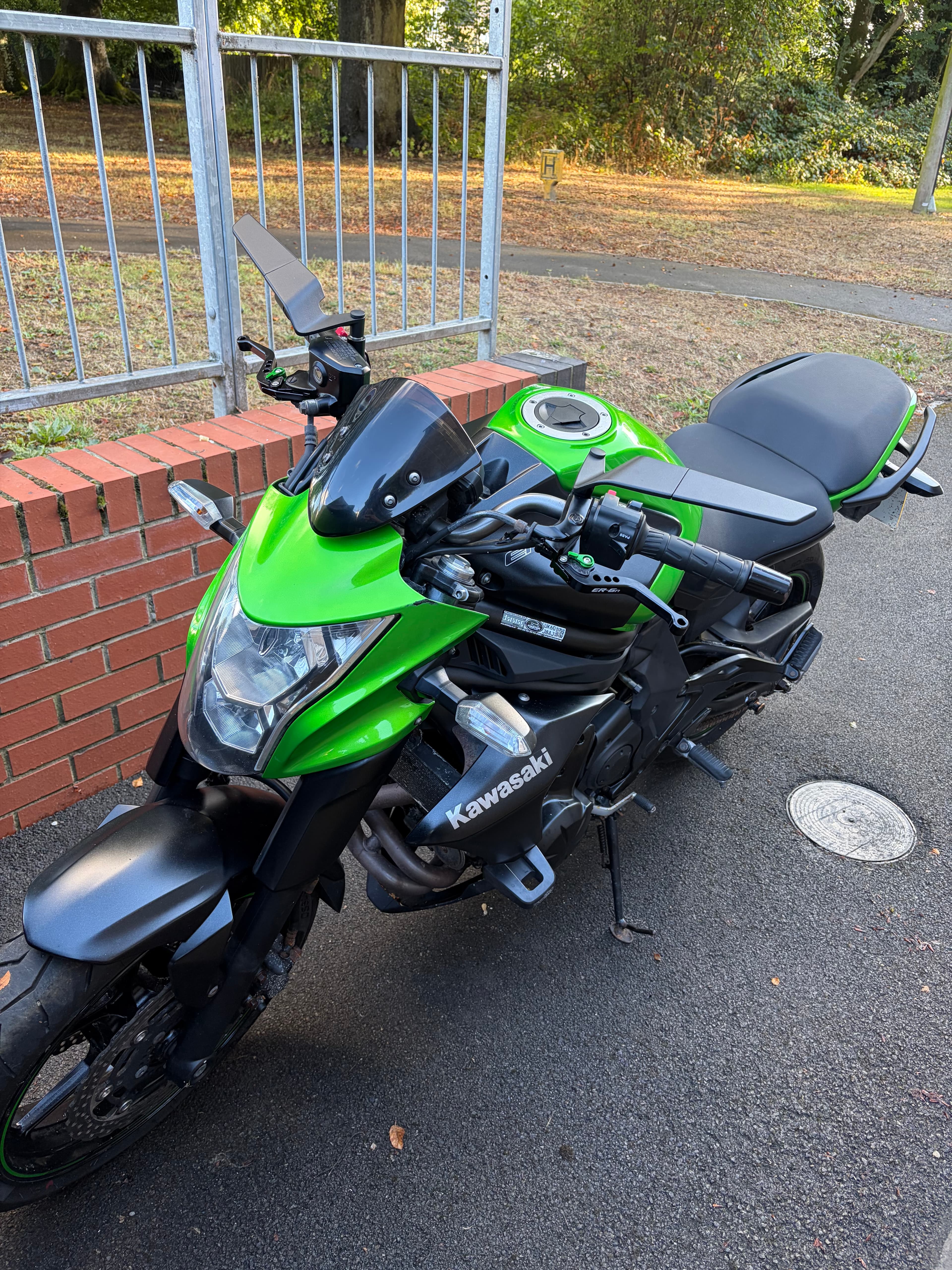 Kawasaki ER